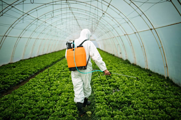 Pest Control Cost in Italy, TX