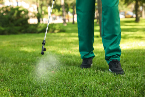 Italy, TX Pest Control Company