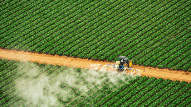 Best Pest Inspection Near Me  in Italy, TX