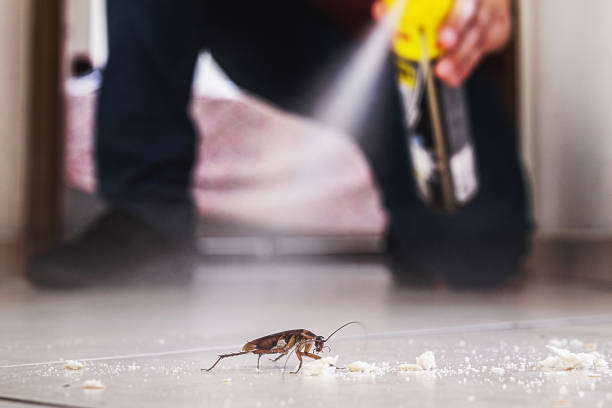 Best Mosquito Control Services  in Italy, TX