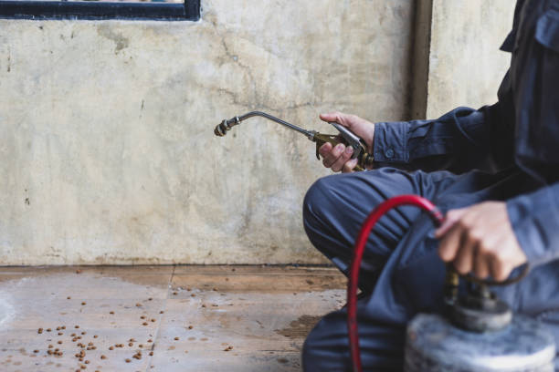 Best Pest Control Near Me  in Italy, TX